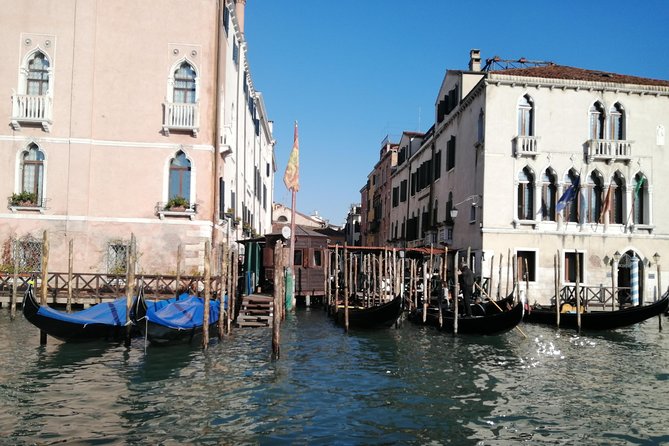 2.5 Hour Street Food Tour of Venice - Walking, pace, and meeting-point advice
