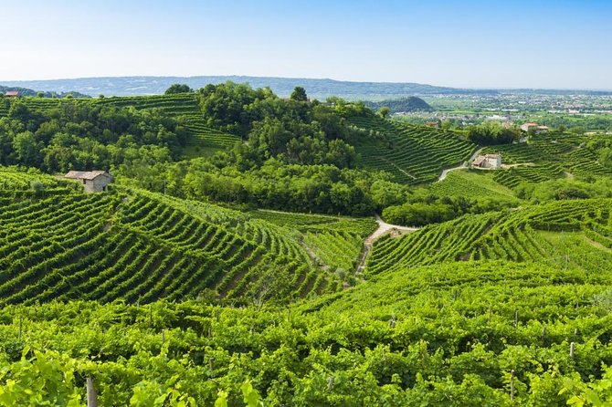 2 Guests Private Prosecco Road Tour All Inclusive from Conegliano - Key points at a glance