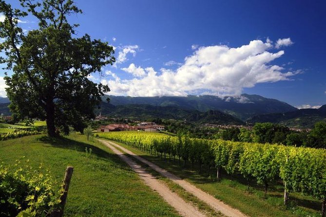 2 Guests Private Prosecco Road Tour All Inclusive from Conegliano - The road to Valdobbiadene is part of the tour