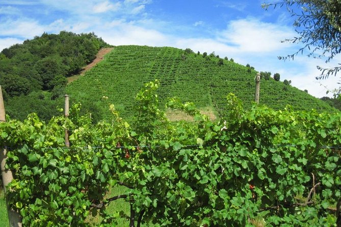 2 Guests Private Prosecco Road Tour All Inclusive from Conegliano - San Pietro di Feletto is the photo stop