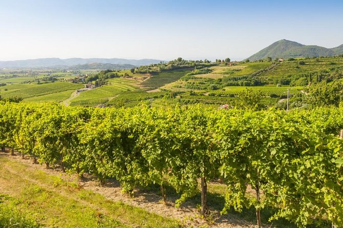 2 Guests Private Prosecco Road Tour All Inclusive from Conegliano - What Chiara adds to the experience