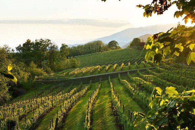 2 Guests Private Prosecco Road Tour All Inclusive from Conegliano - How the private price works for two people