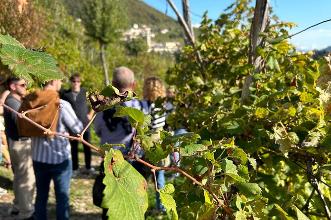 2 Guests Private Prosecco Road Tour All Inclusive from Venice - San Pietro di Feletto shows the sharper hills
