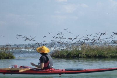 2 Hour Night Kayak Tour in Venice, premium experience with sunset
