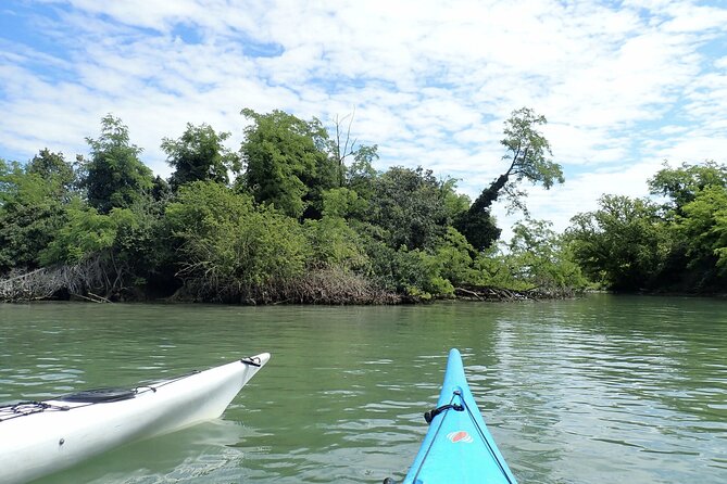 2 Hour Night Kayak Tour in Venice, premium experience with sunset - Booking ahead and handling the cost