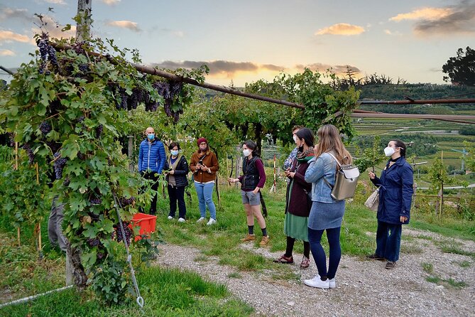 6 Wine Tasting in Valpolicella Classica: the cradle of Amarone - Getting there from Verona