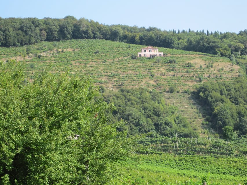 8-Hour Prosecco Wine and Tastings Tour from Venice or Padua - Lunch at a historic frasca