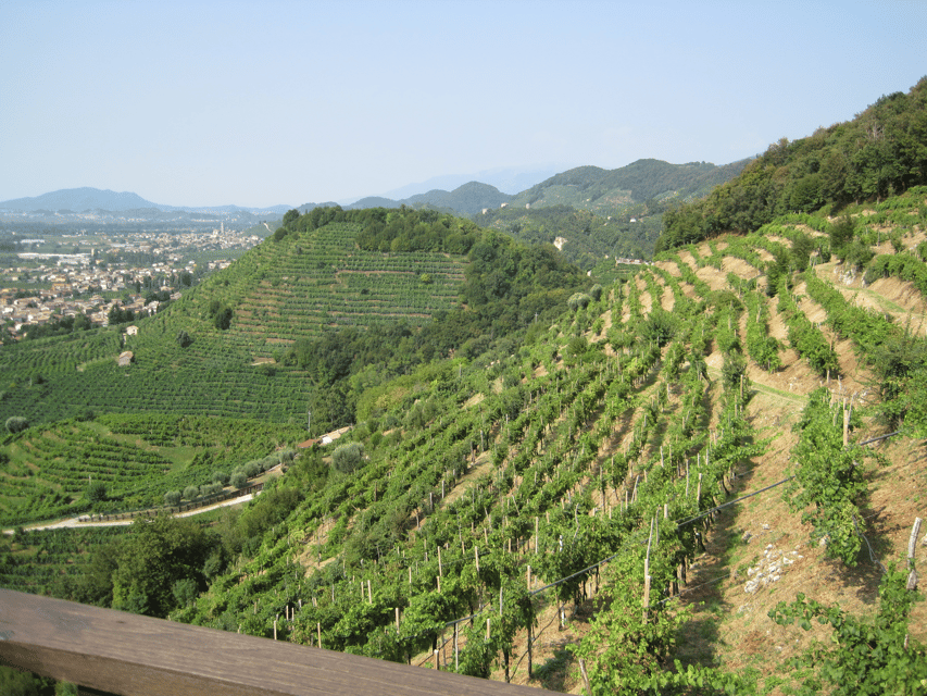 8-Hour Prosecco Wine and Tastings Tour from Venice or Padua - Practical details that can affect your day