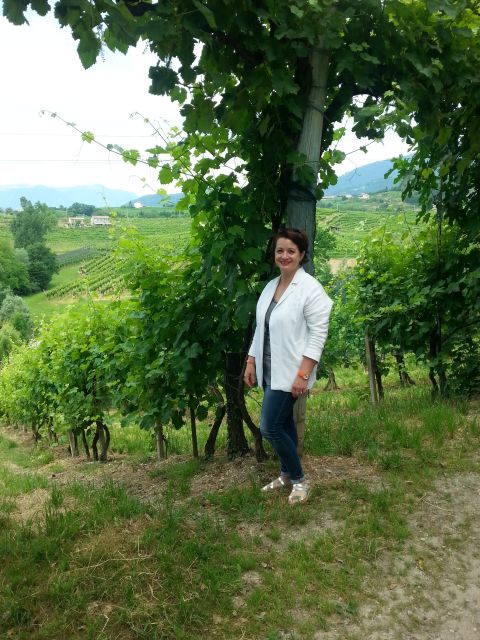 8-Hour Prosecco Wine and Tastings Tour from Venice or Padua - Why the DOCG setting changes the tasting