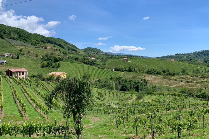 A Sparkling Day in the Prosecco Hills from Venice - The guides make the rural setting accessible