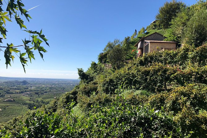 A Sparkling Day in the Prosecco Hills from Venice - How the timing works in real life
