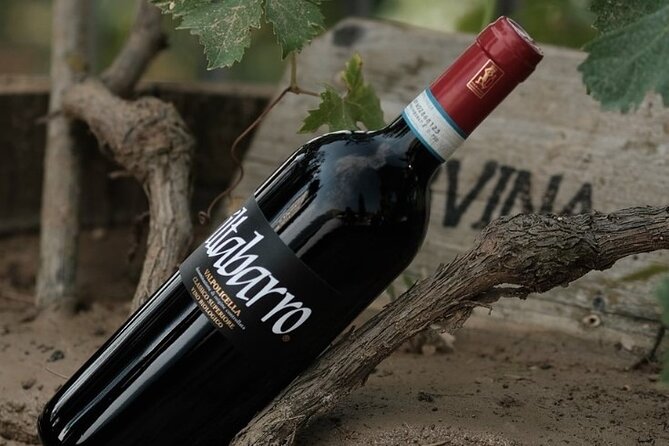 Amarone 2005 Wine Experience - Why the 2005 Amarone changes the tasting