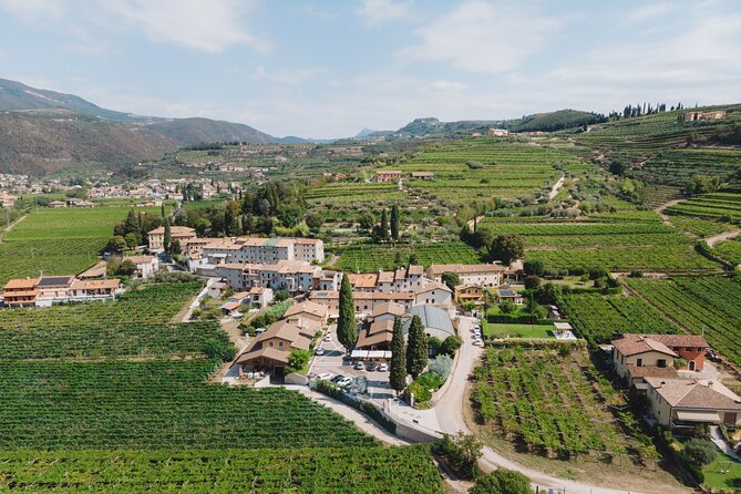 Amarone 2005 Wine Experience - The people who give the visit its character