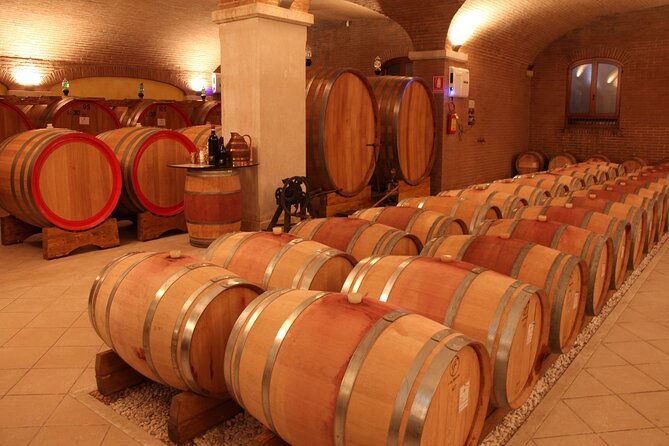 Amarone 2005 Wine Experience - Organic wine without a lecture