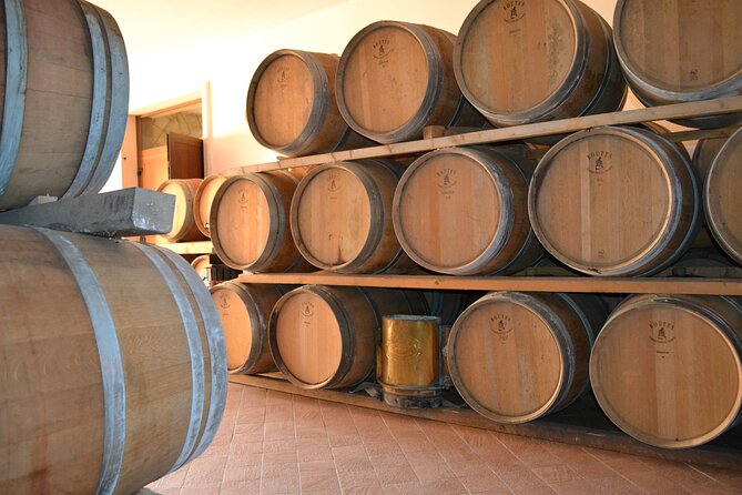 Amarone Della Valpolicella Wine Experience - Meet the Vogadori Family - A family winery beyond Verona’s busy center
