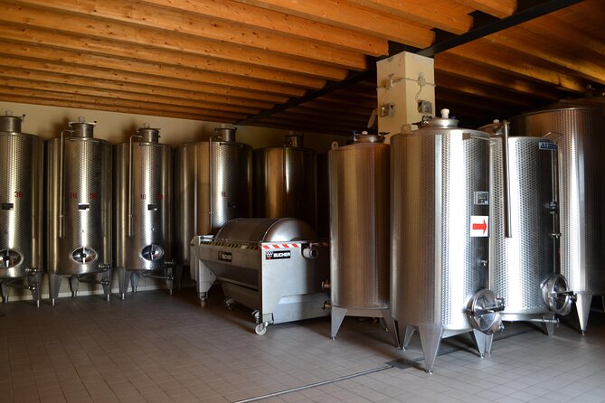 Amarone Della Valpolicella Wine Experience - Meet the Vogadori Family - Timing, cancellation, and practical details
