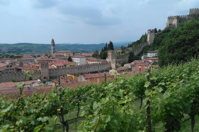 Amarone & Soave Wine Tour with Sommelier – Visit Verona - Why Soave and Amarone make a smart pairing
