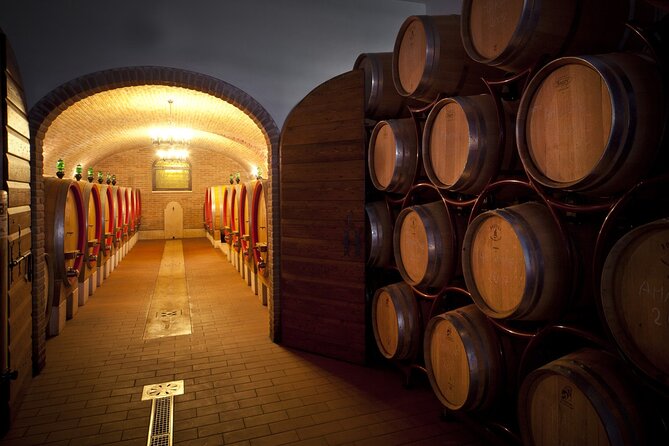 Amarone-Valpolicella tour. Visit Verona. From Venice - A Light Lunch That Fits the Tasting