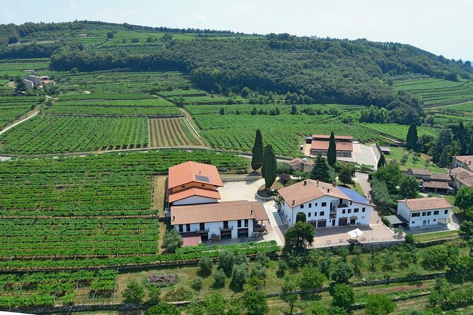 Amarone-Valpolicella tour. Visit Verona. From Venice - Is $240 a Fair Price?