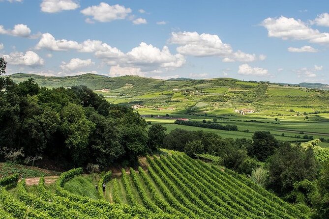 Amarone-Valpolicella tour. Visit Verona. From Venice - Into Valpolicella and the Amarone Story