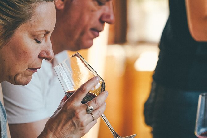 Amarone Wine-tasting Tour from Verona with Private Transportation - From Verona to the Amarone Hills