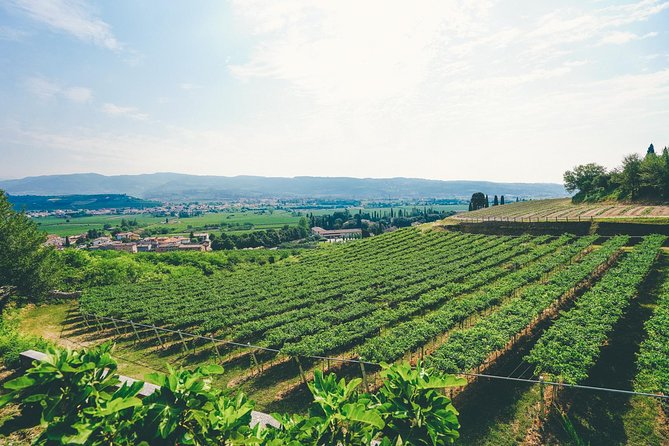 Amarone Wine-tasting Tour from Verona with Private Transportation - First Stop: A Family Winery in Valpolicella