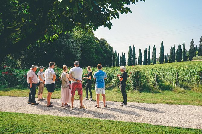Amarone Wine-tasting Tour from Verona with Private Transportation - Why the Two-Winery Format Works