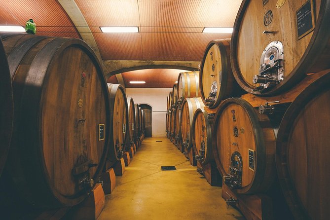 Amarone Wine-tasting Tour from Verona with Private Transportation - Who Will Enjoy This Tour Most