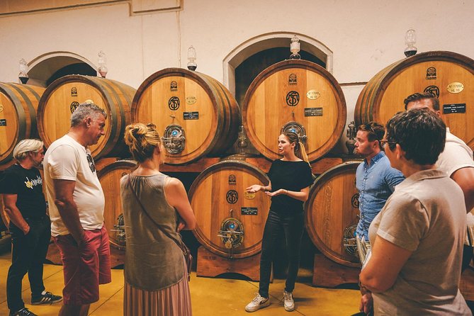 Amarone Wine-tasting Tour from Verona with Private Transportation - Second Stop: A Different Winery and a Useful Comparison