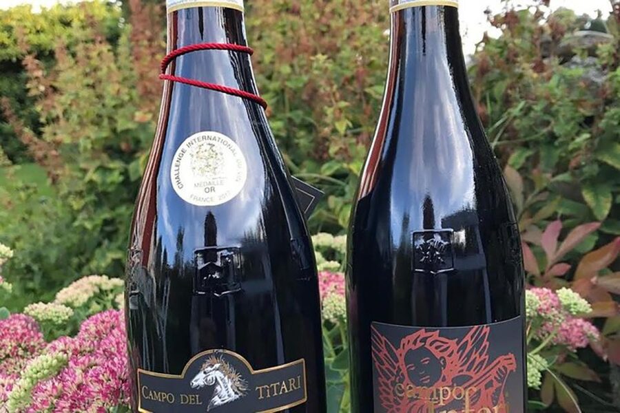 Amarone Wine Tasting Tour. Visit Verona. From Venice - Verona’s Roman arena and old-town squares