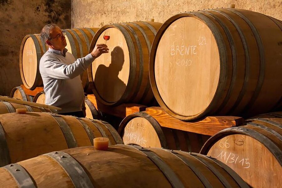 Amarone Wine Tasting Tour. Visit Verona. From Venice - Cheese, salami, and flexible dietary options