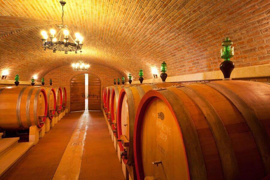 Amarone Wine Tasting Tour. Visit Verona. From Venice - Timing, comfort, and practical limits