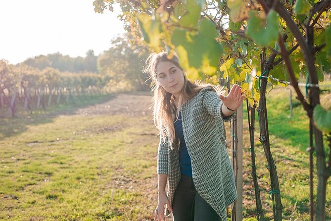 Amarone Wine Tour - Key points to know before booking