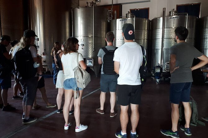 Amarone Wine Tour - A short trip from Verona into Valpolicella