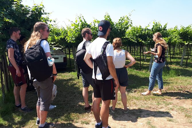 Amarone Wine Tour - Planning the ride from Verona