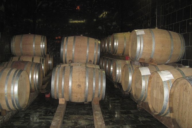 Amarone Wine Tour (all-inclusive full day with lunch and expert wine guide) - Who will enjoy this most