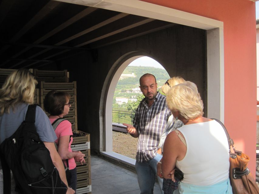 Amarone Wine Tour & Tasting from Venice, Padua or Verona - A family winery comparison that adds real value