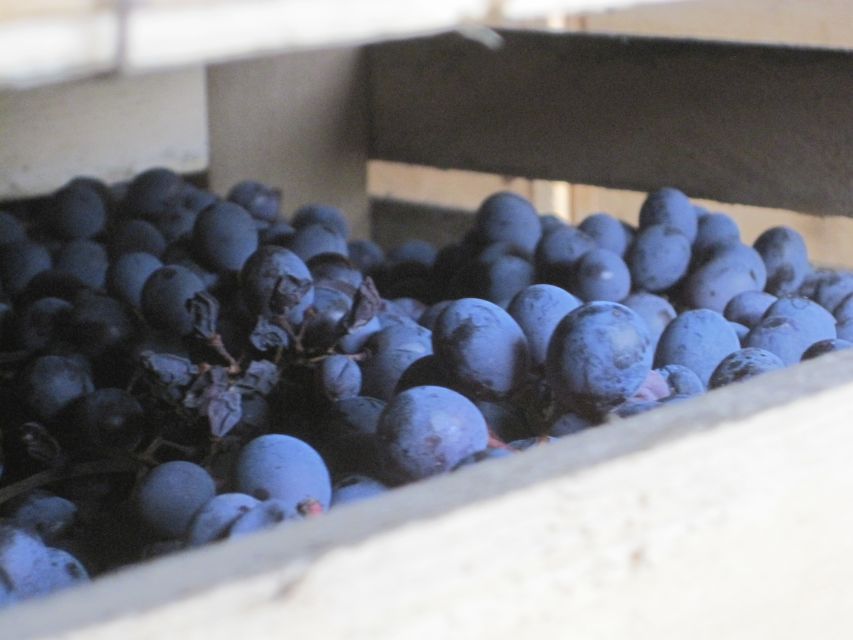 Amarone Wine Tour & Tasting from Venice, Padua or Verona - Small details that can improve your day