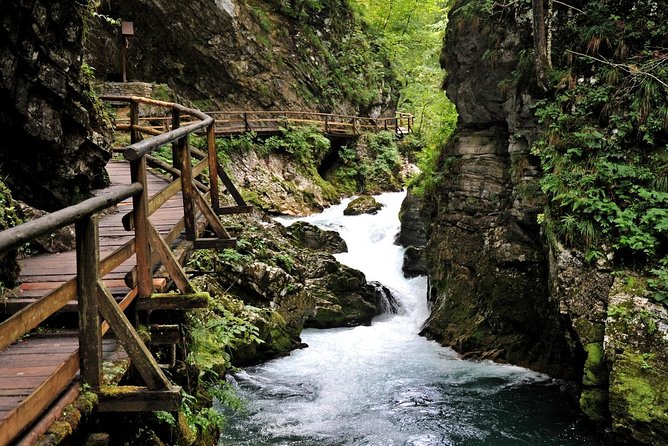 Amazing Lake Bled and Ljubljana - Private Tour from Trieste - What the guide does, and what the guide does not do