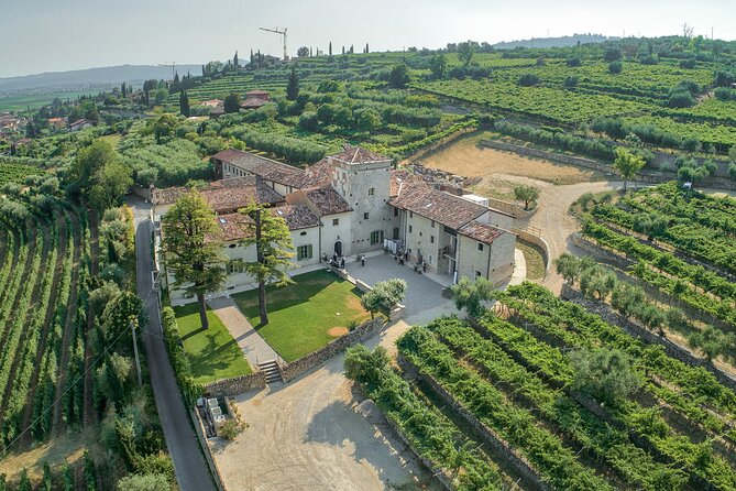 Art & Wine Experience in Valpolicella at Palazzo Montanari - Key points to know before booking