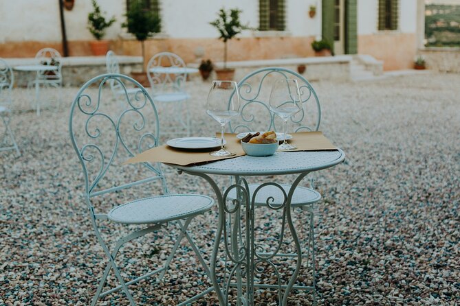 Art & Wine Experience in Valpolicella at Palazzo Montanari - A manor house before a wine tasting