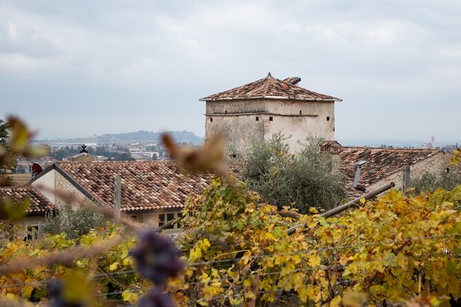 Art & Wine Experience in Valpolicella at Palazzo Montanari - Olive oil and the courtyard setting