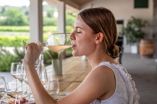 Bardolino Wine Experience - Key points at a glance