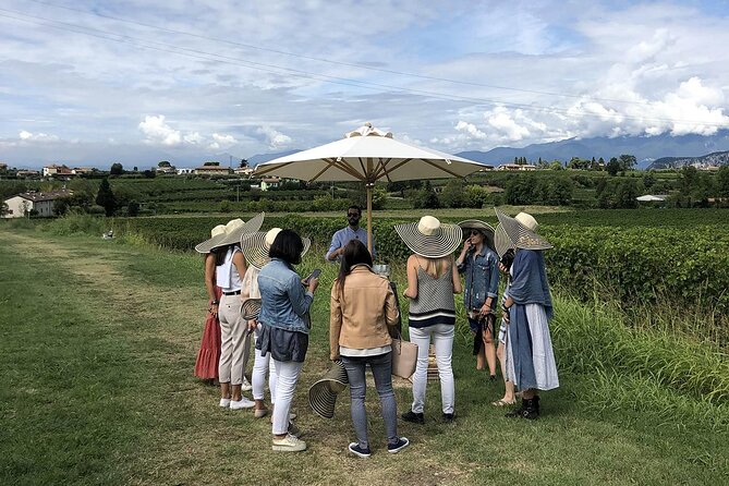 Bardolino Wine Experience - Access, group size, and the pace of the visit