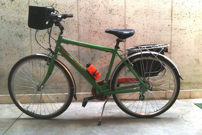 Bike rental in Venice - Who will get the most from this rental