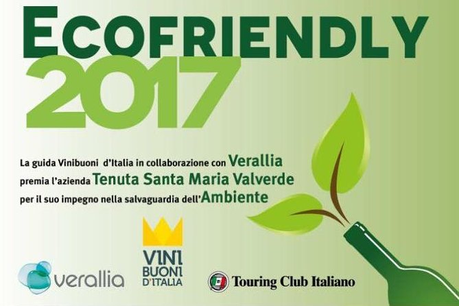Bike Station Valpolicella: E-bike tour & Amarone Tasting - Arriving at Tenuta Santa Maria Valverde