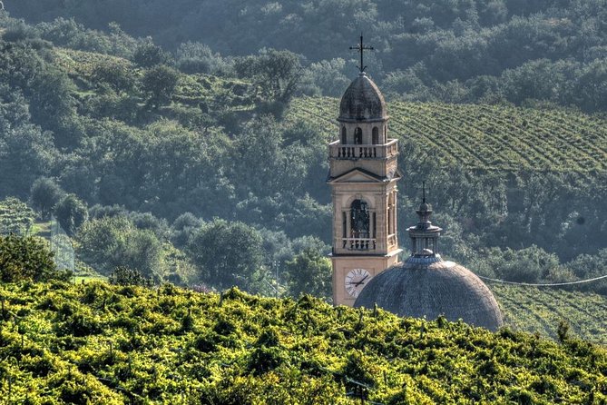 Bike Station Valpolicella: E-bike tour & Amarone Tasting - Starting in Verona and reaching the wine country