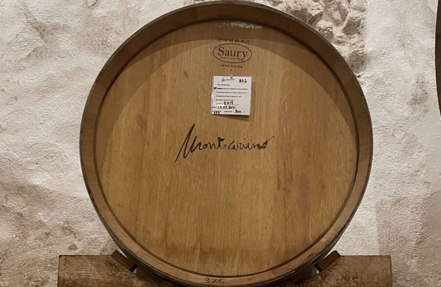 Boutique Winery Tour & Tasting in Valpolicella - The 20-minute cellar tour, from steel to wood