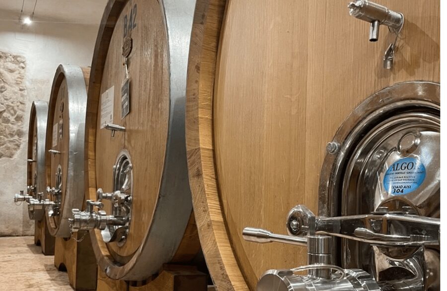 Boutique Winery Tour & Tasting in Valpolicella - Who should book this experience?