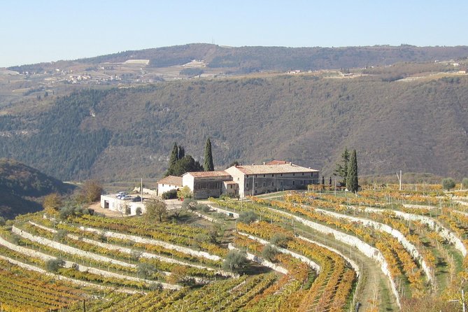 Champagne Experience at a Boutique Winery - Seeing the 17th-century cellar